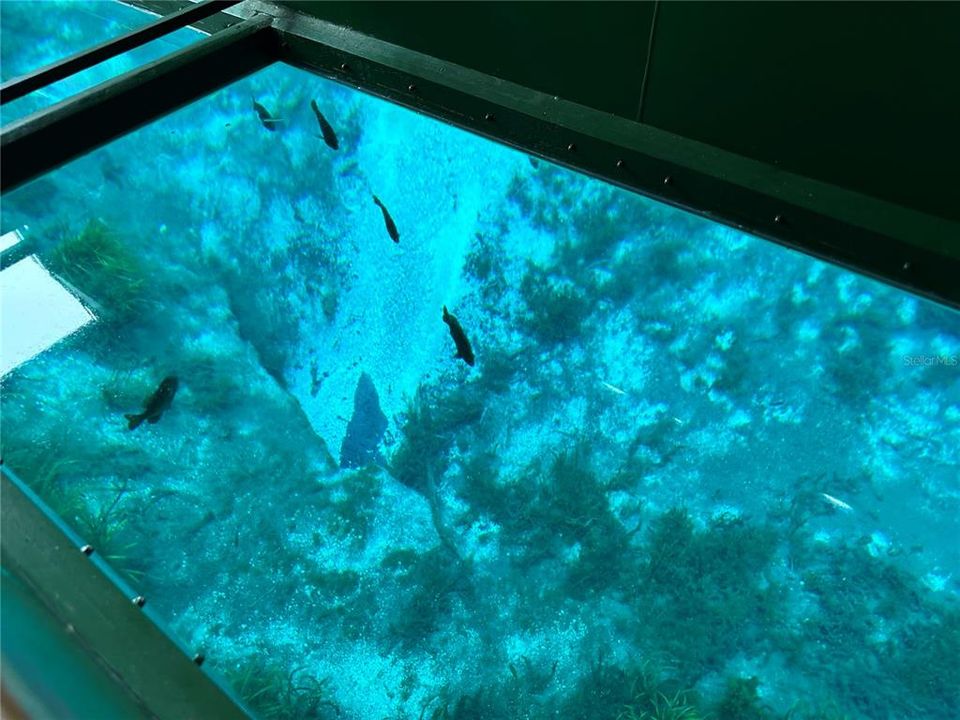 For Sale: $57,500 (0.05 acres)