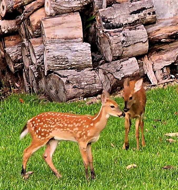 For Sale: $690,000 (4 beds, 3 baths, 2763 Square Feet)