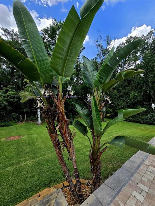 For Sale: $690,000 (4 beds, 3 baths, 2763 Square Feet)