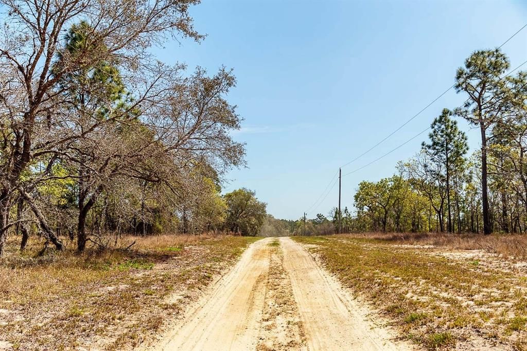 На продажу: $195,000 (10.00 acres)