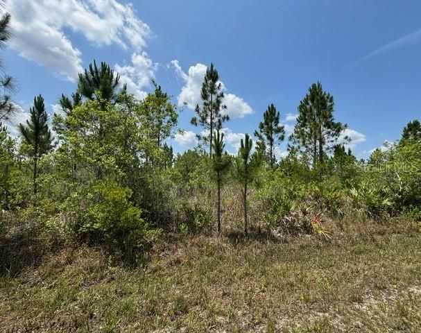 待售: $12,500 (0.50 acres)