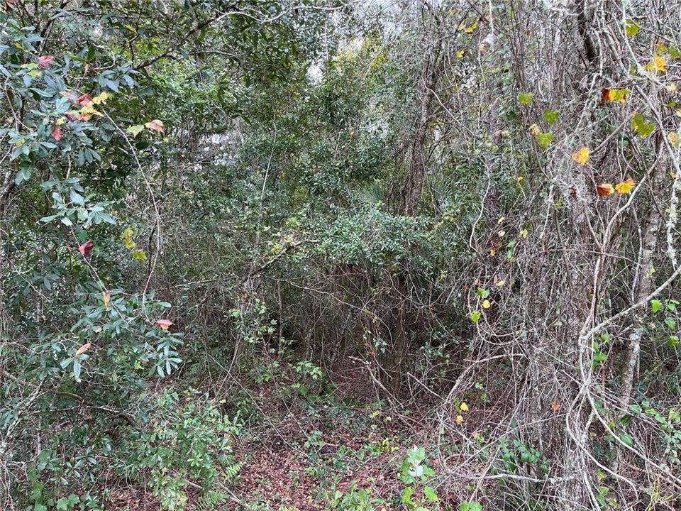 For Sale: $7,000 (0.28 acres)