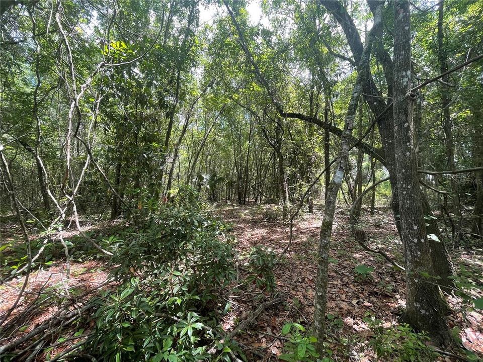 待售: $7,000 (0.28 acres)