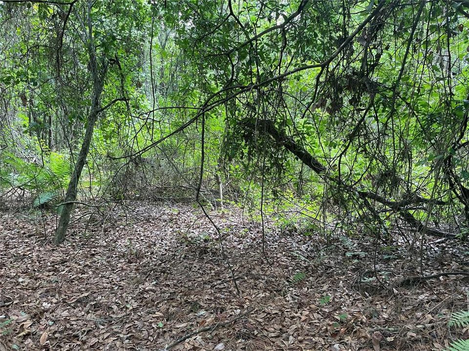 待售: $7,000 (0.28 acres)