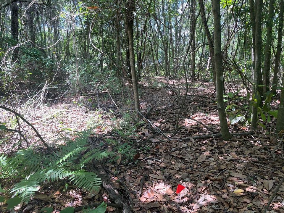 待售: $7,000 (0.28 acres)