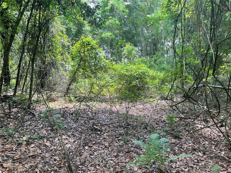 待售: $7,000 (0.28 acres)