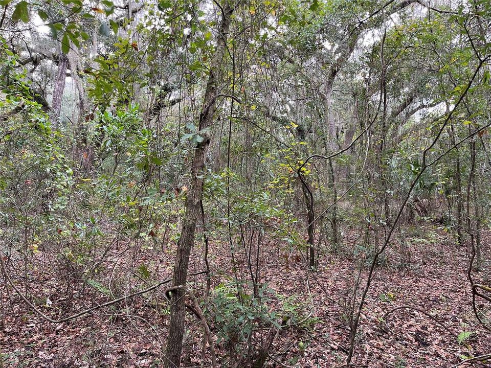For Sale: $7,000 (0.28 acres)