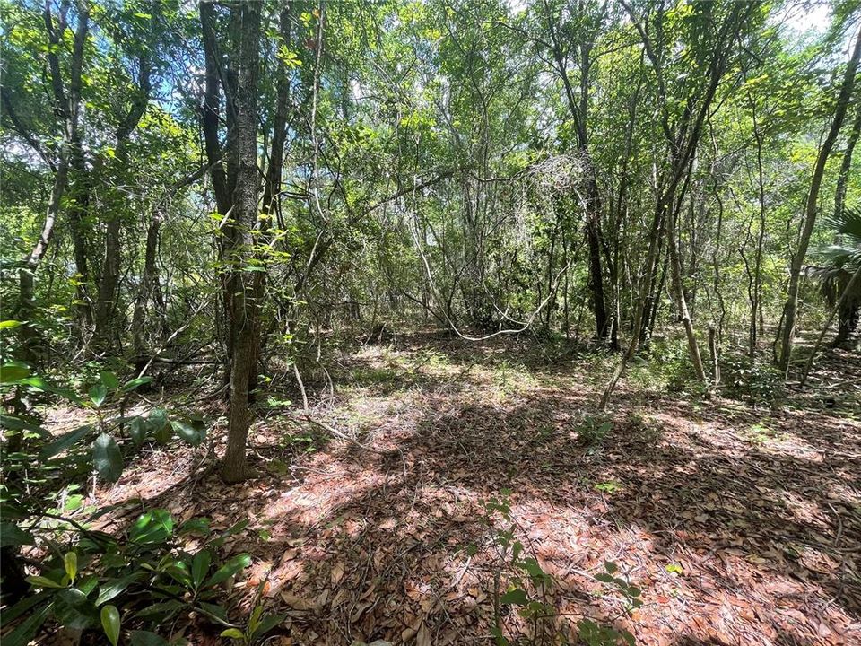 待售: $7,000 (0.28 acres)