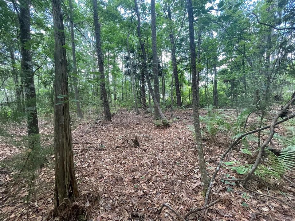 待售: $7,000 (0.28 acres)