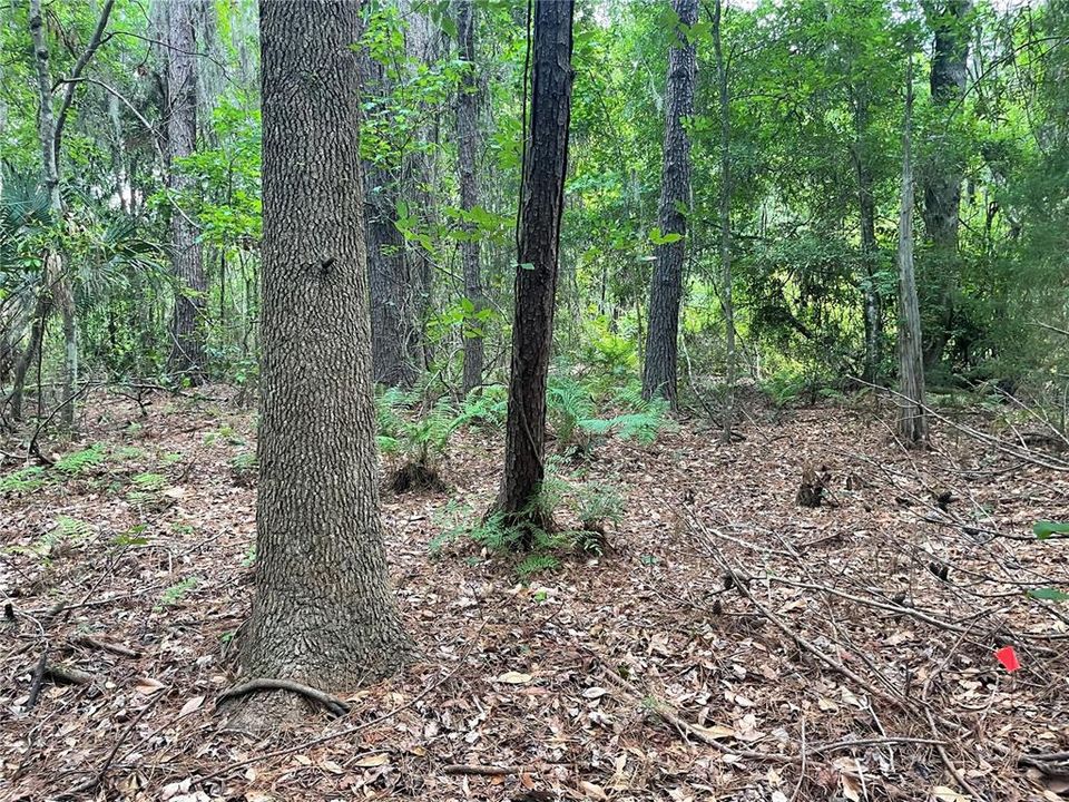 待售: $7,000 (0.28 acres)