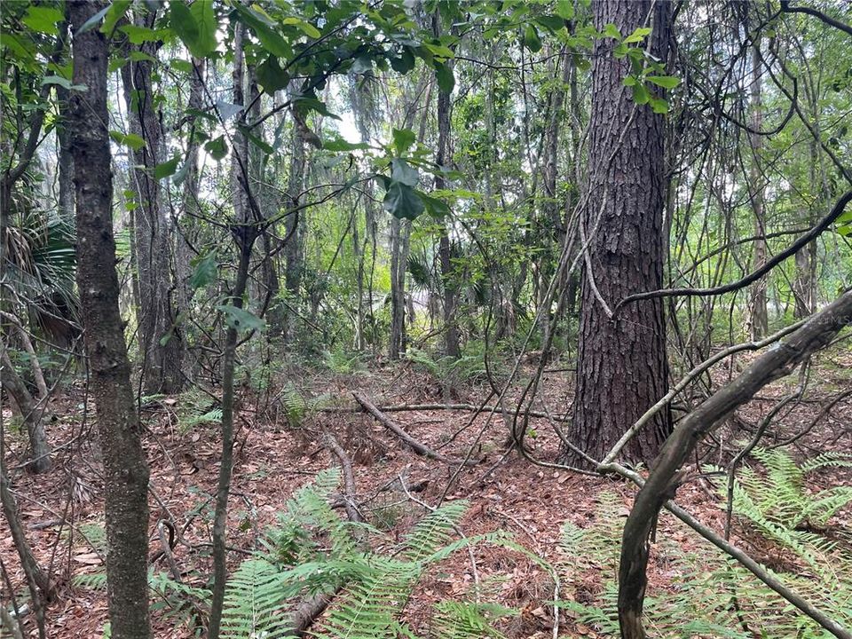 待售: $7,000 (0.28 acres)