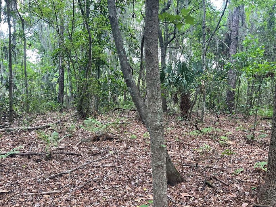 待售: $7,000 (0.28 acres)