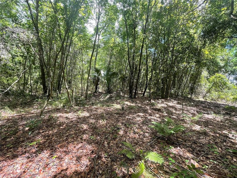 待售: $7,000 (0.28 acres)