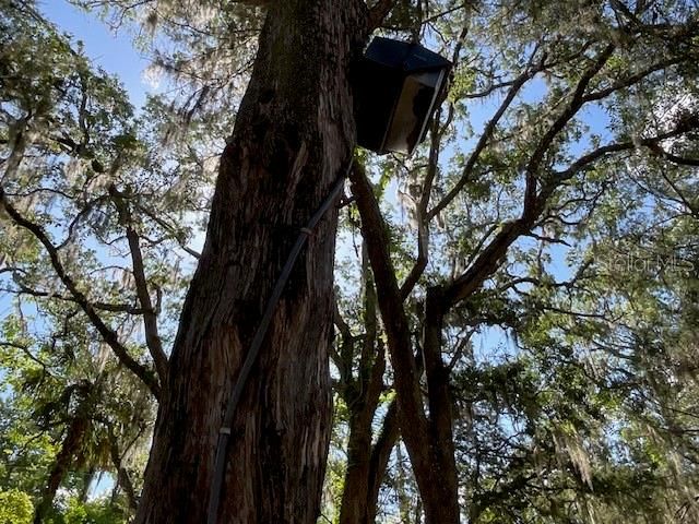 For Sale: $160,000 (0.13 acres)