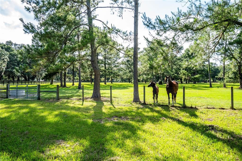 For Sale: $655,000 (3 beds, 1 baths, 1740 Square Feet)