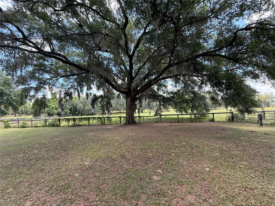 For Sale: $3,650,000 (3 beds, 2 baths, 1620 Square Feet)