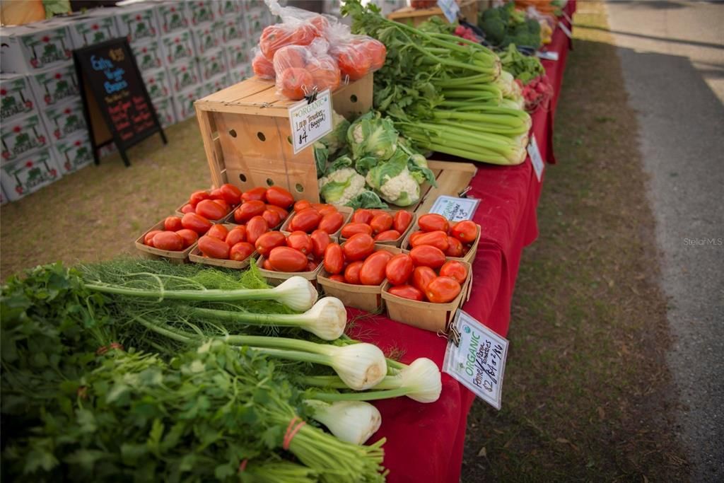 For Sale: $279,750 (2 beds, 2 baths, 1431 Square Feet)