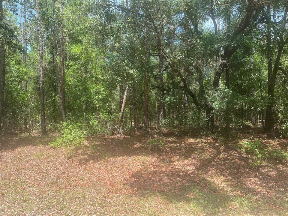 For Sale: $19,900 (0.26 acres)