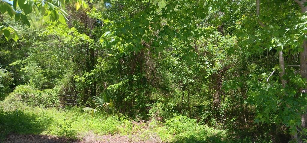 Vendido Recientemente: $55,000 (1.01 acres)