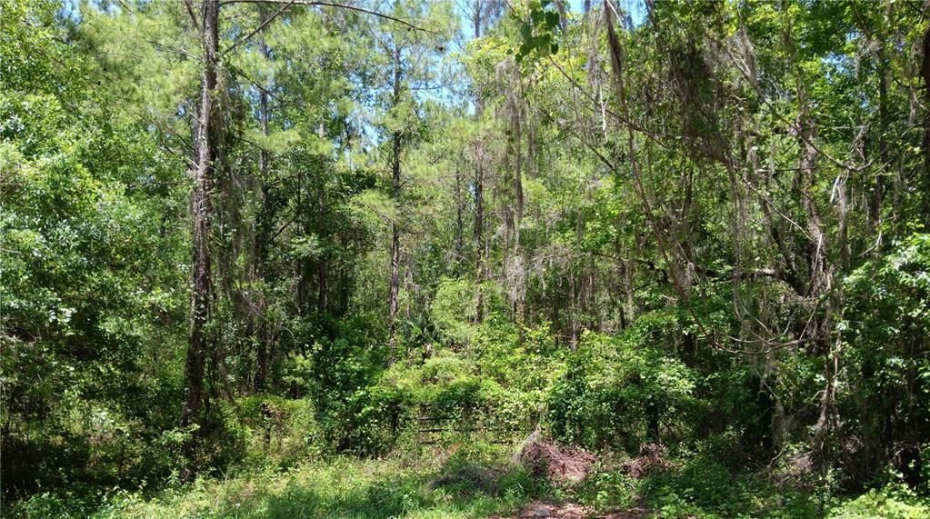 Vendido Recientemente: $55,000 (0.74 acres)