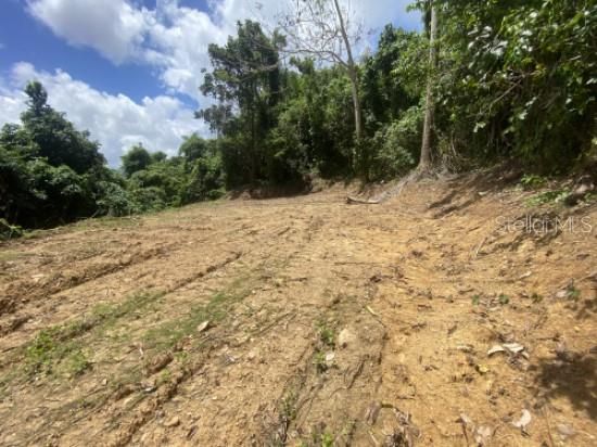 For Sale: $150,000 (6.37 acres)