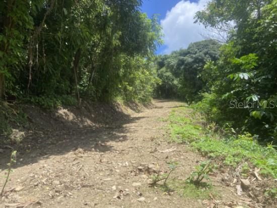 For Sale: $150,000 (6.37 acres)