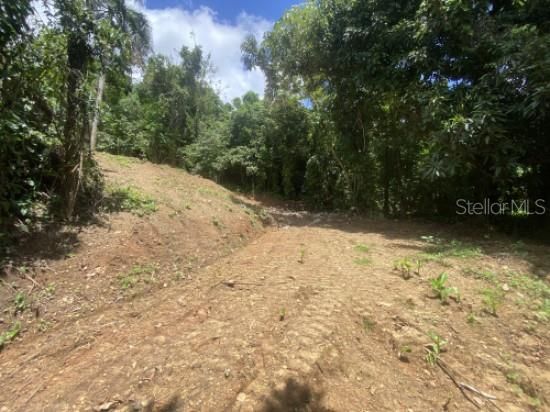 For Sale: $150,000 (6.37 acres)