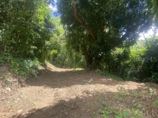 For Sale: $150,000 (6.37 acres)