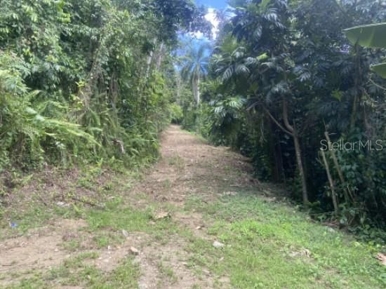 For Sale: $150,000 (6.37 acres)