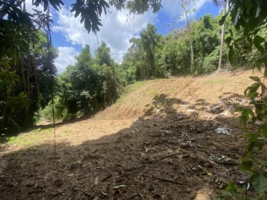 For Sale: $150,000 (6.37 acres)