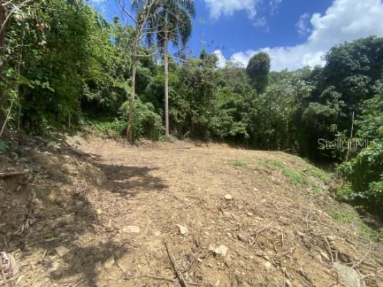 For Sale: $150,000 (6.37 acres)