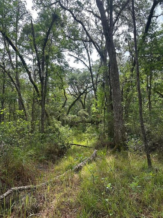 For Sale: $374,000 (10.00 acres)