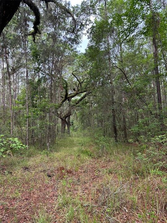 For Sale: $374,000 (10.00 acres)