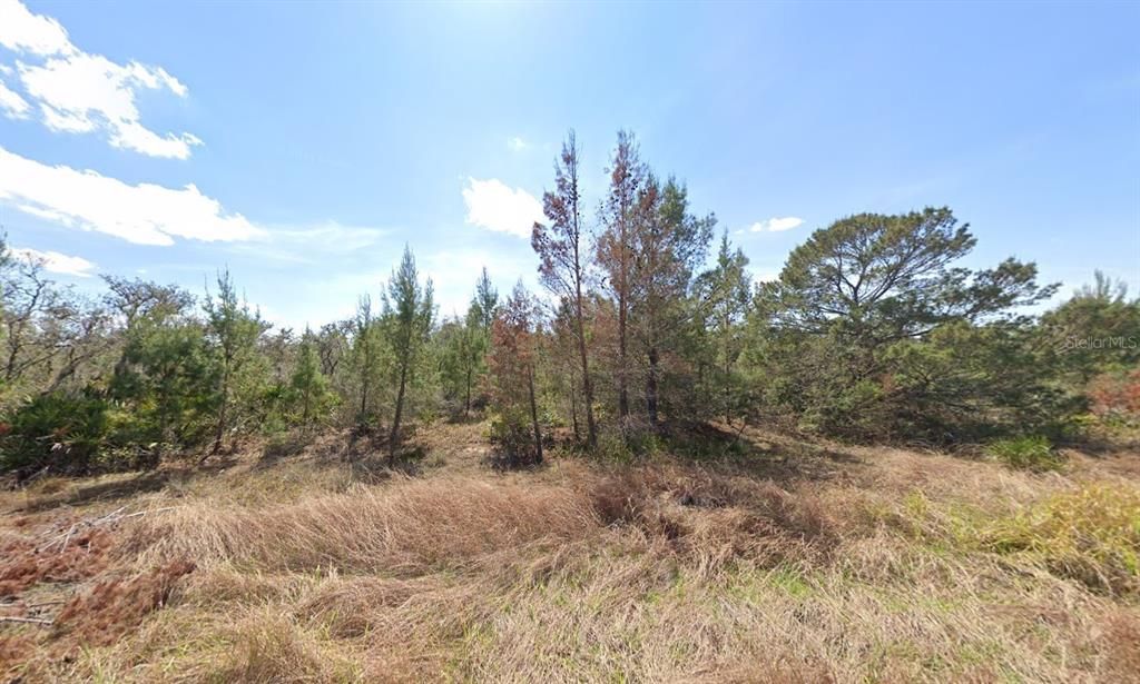 En Venta: $15,000 (0.28 acres)