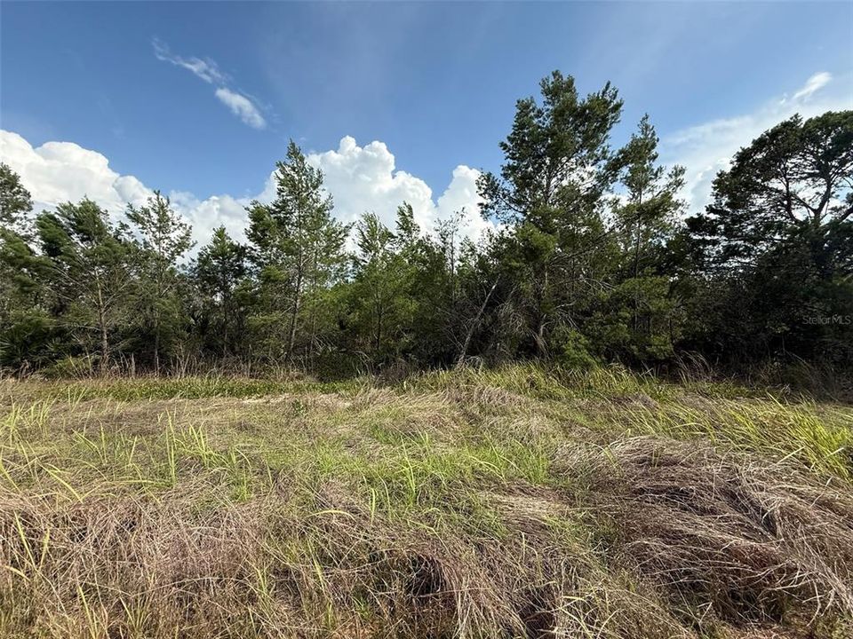 En Venta: $15,000 (0.28 acres)