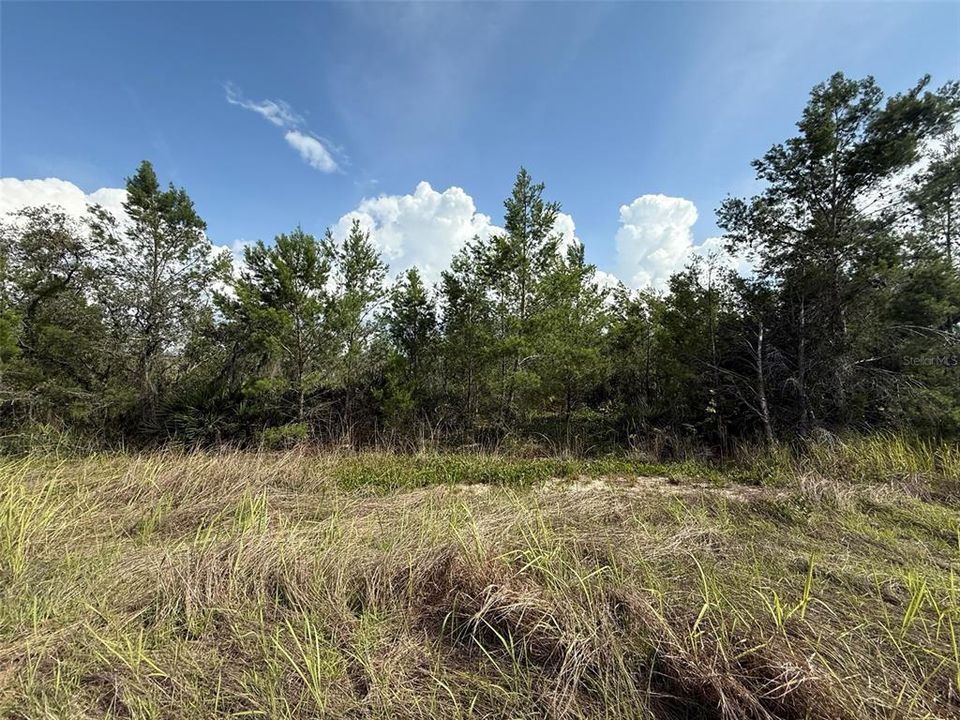 En Venta: $15,000 (0.28 acres)