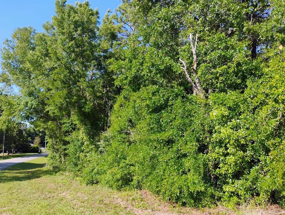 На продажу: $39,500 (0.42 acres)