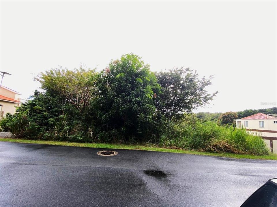 For Sale: $195,000 (0.46 acres)