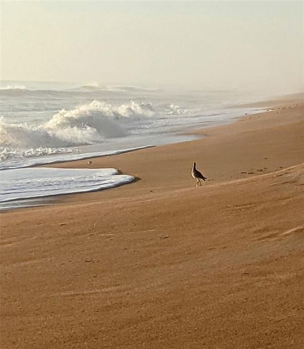 Active With Contract: $425,000 (2 beds, 2 baths, 1138 Square Feet)