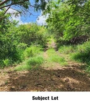 待售: $240,000 (0.54 acres)