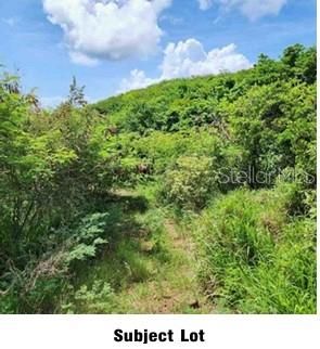 待售: $240,000 (0.54 acres)