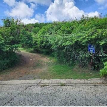 待售: $240,000 (0.54 acres)