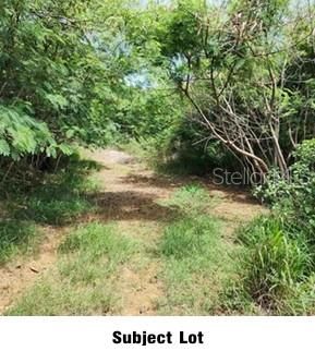 待售: $240,000 (0.54 acres)