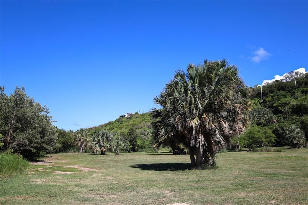 На продажу: $2,000,000 (8.35 acres)