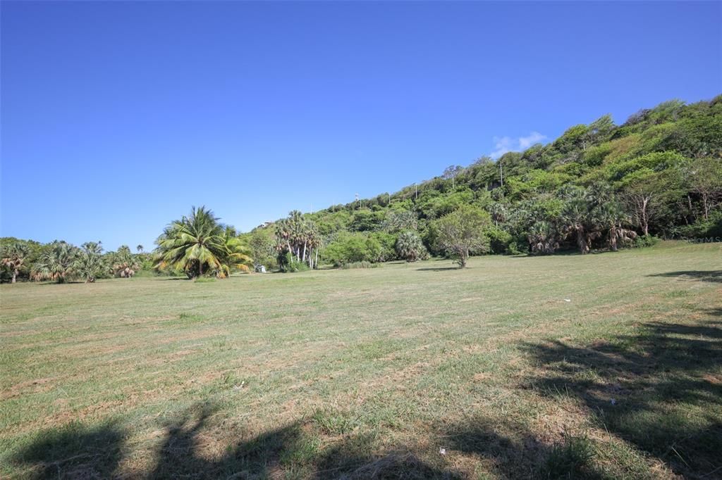 На продажу: $2,000,000 (8.35 acres)