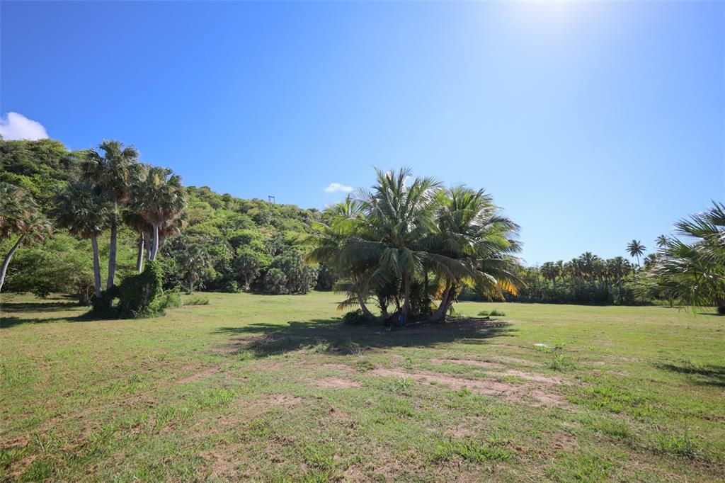 На продажу: $2,000,000 (8.35 acres)