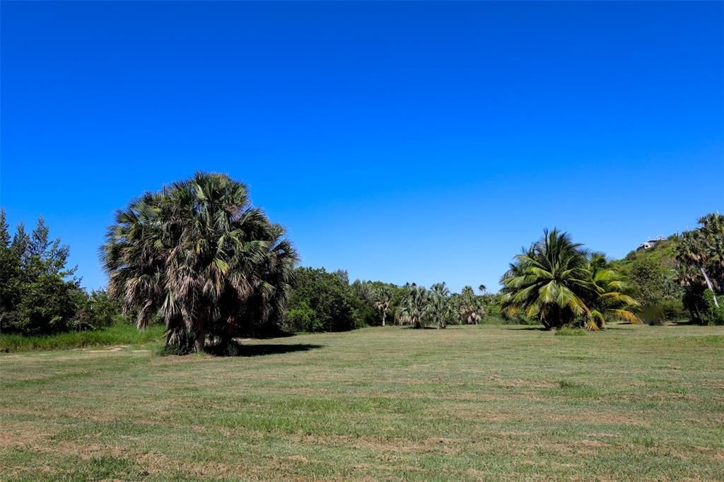 На продажу: $2,000,000 (8.35 acres)