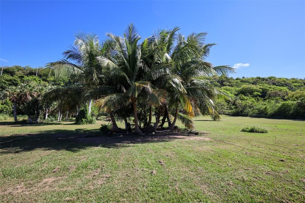 На продажу: $2,000,000 (8.35 acres)