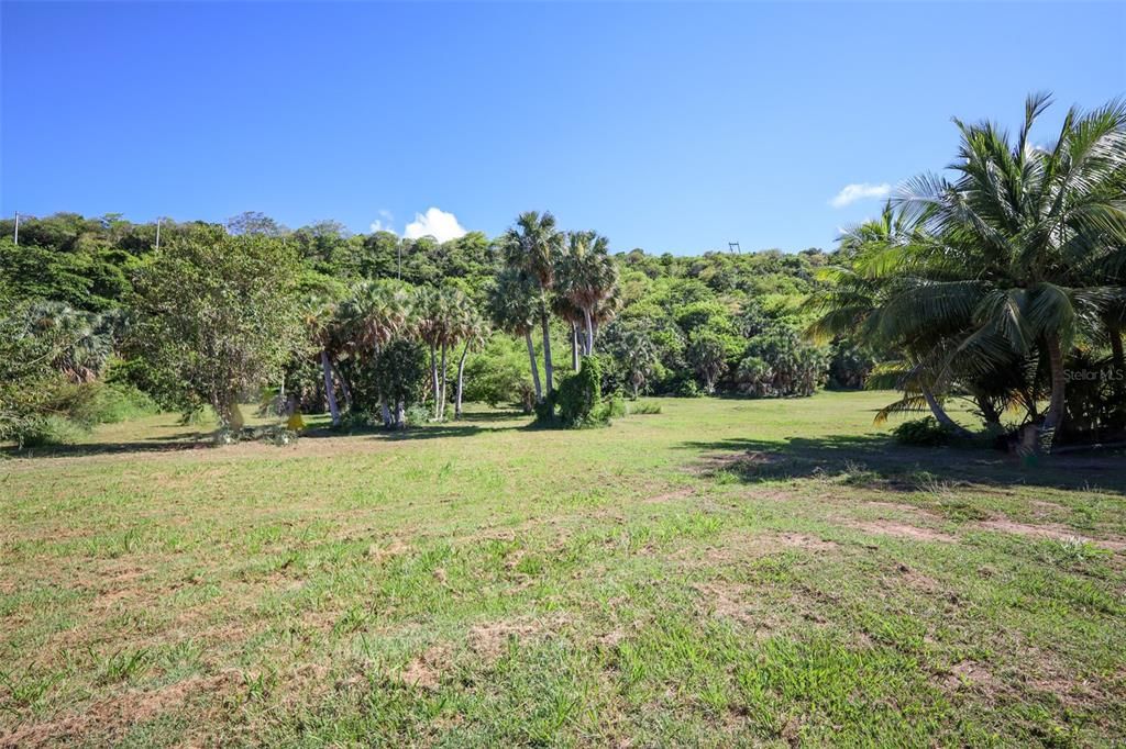 На продажу: $2,000,000 (8.35 acres)