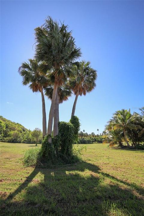 На продажу: $2,000,000 (8.35 acres)